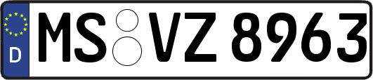 MS-VZ8963