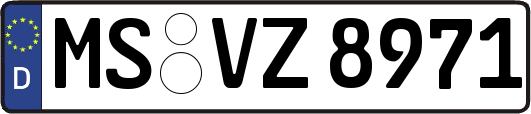 MS-VZ8971
