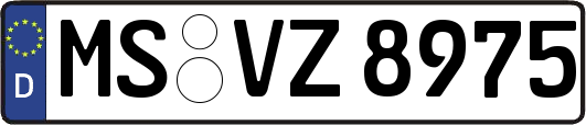 MS-VZ8975