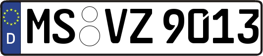MS-VZ9013