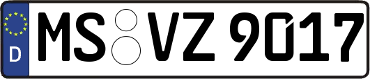 MS-VZ9017