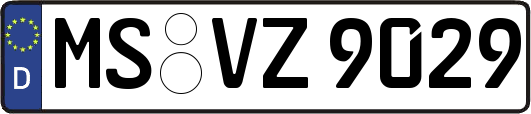 MS-VZ9029