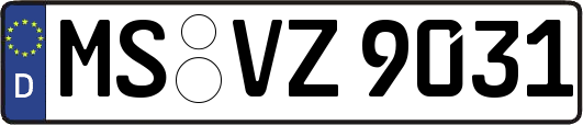MS-VZ9031