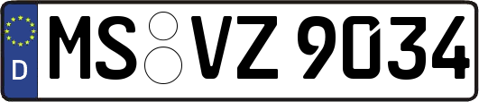 MS-VZ9034