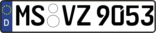 MS-VZ9053