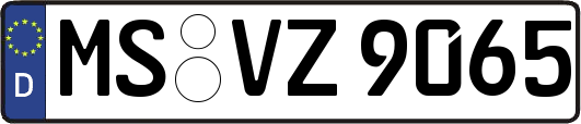 MS-VZ9065