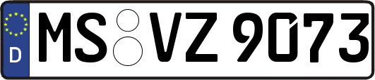 MS-VZ9073