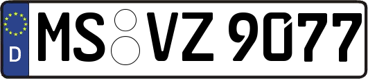 MS-VZ9077