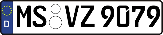 MS-VZ9079
