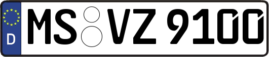 MS-VZ9100