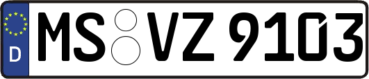 MS-VZ9103