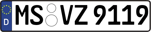 MS-VZ9119