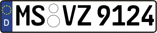 MS-VZ9124
