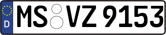 MS-VZ9153