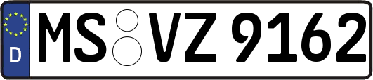 MS-VZ9162