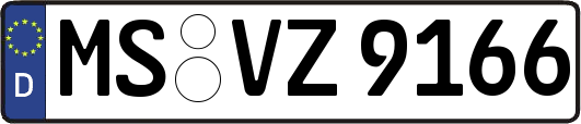 MS-VZ9166