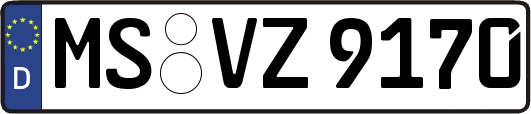 MS-VZ9170