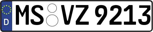 MS-VZ9213