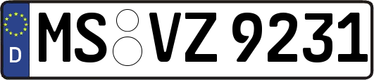 MS-VZ9231