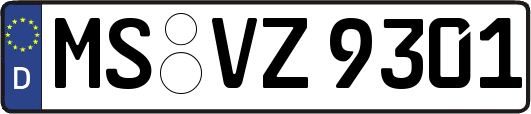 MS-VZ9301