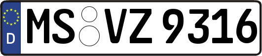 MS-VZ9316