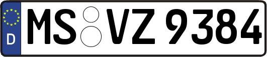 MS-VZ9384