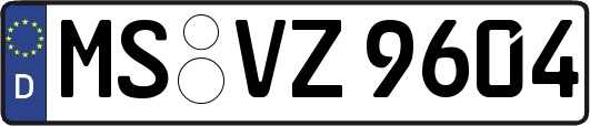 MS-VZ9604