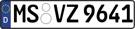 MS-VZ9641