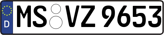 MS-VZ9653