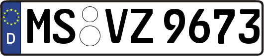 MS-VZ9673