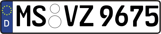 MS-VZ9675