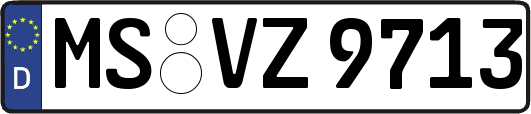 MS-VZ9713