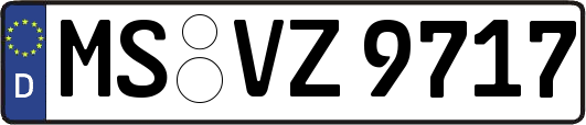 MS-VZ9717
