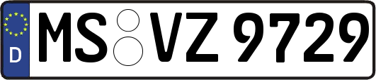 MS-VZ9729