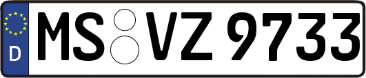 MS-VZ9733