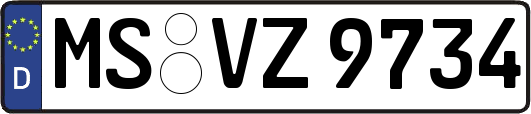 MS-VZ9734