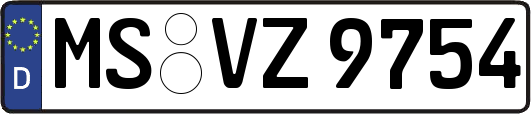 MS-VZ9754