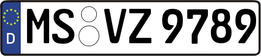 MS-VZ9789