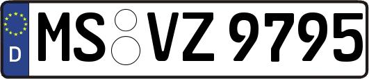 MS-VZ9795