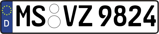 MS-VZ9824