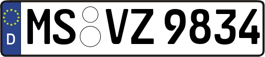 MS-VZ9834