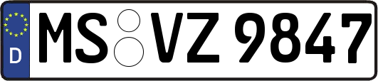 MS-VZ9847