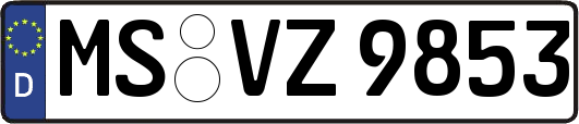 MS-VZ9853