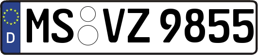 MS-VZ9855