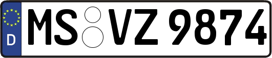 MS-VZ9874