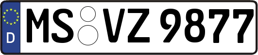 MS-VZ9877