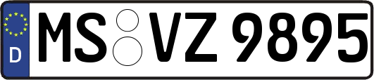 MS-VZ9895