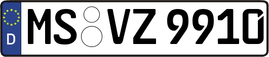 MS-VZ9910