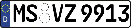 MS-VZ9913