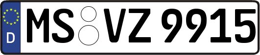MS-VZ9915